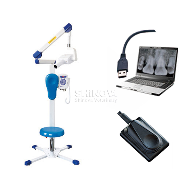 Digital Dental X-Ray lmaging System (Dental DR)