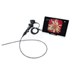 Veterinary Bronchoscope（3.8mm）