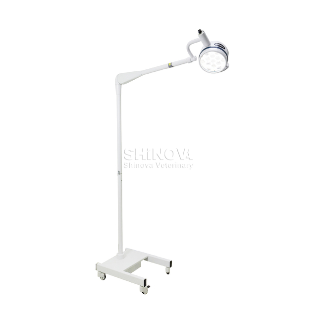 LED Treatment Light