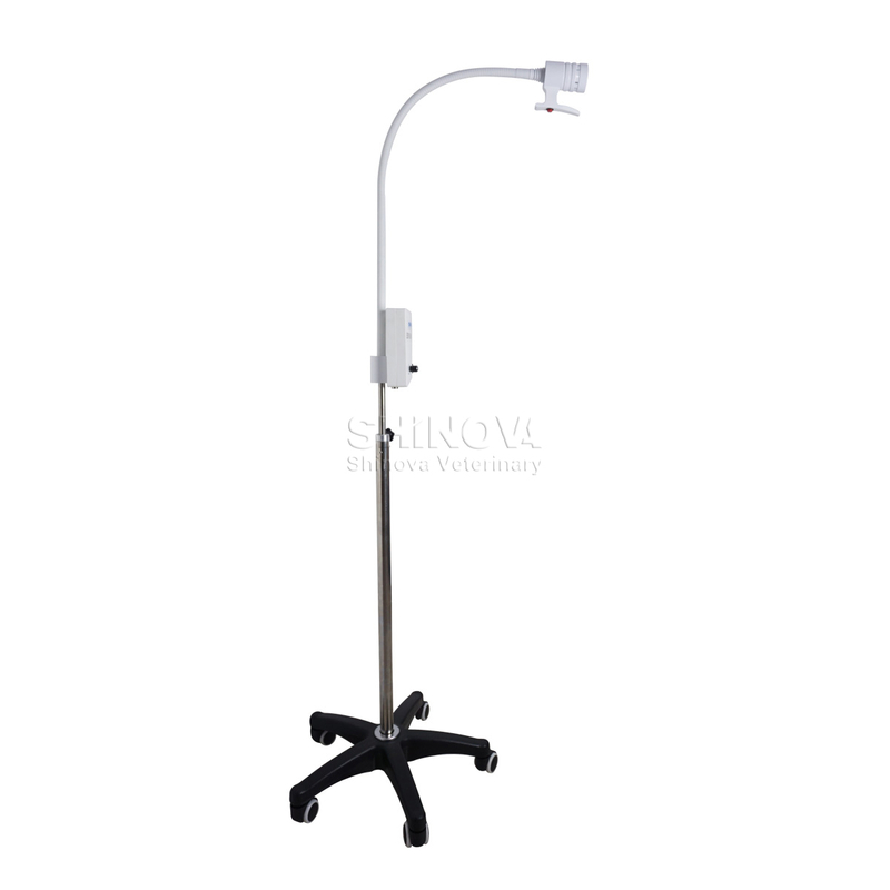 Veterinary Examination Lamp