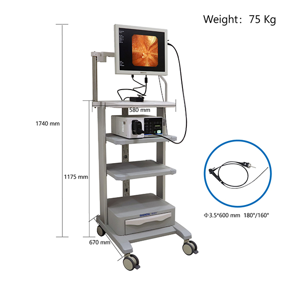 Veterinary Video Gastroscope 