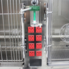 Modular Stainless Steel Oxygen Cage (with power sockets)