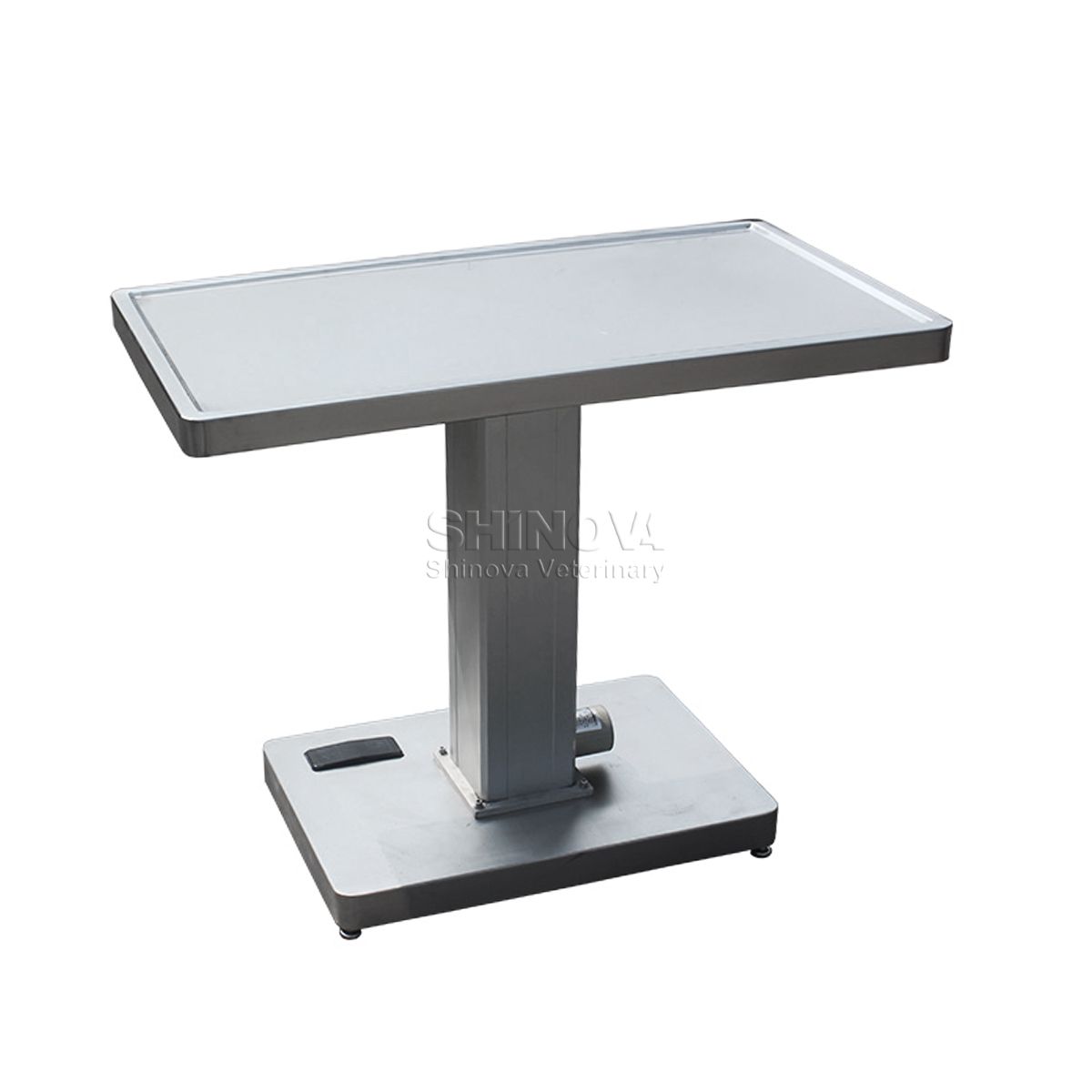 Multifunctional Electric Lift Treatment Table