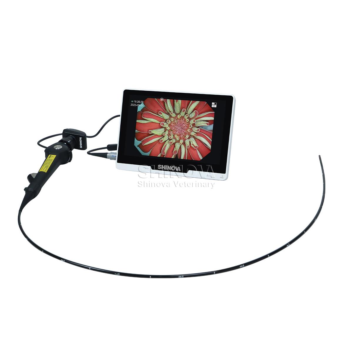 Portable Veterinary Endoscope（4.8mm）