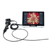 Veterinary Bronchoscope（3.8mm）