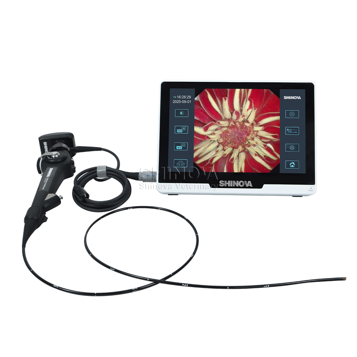 Veterinary Bronchoscope（3.8mm）