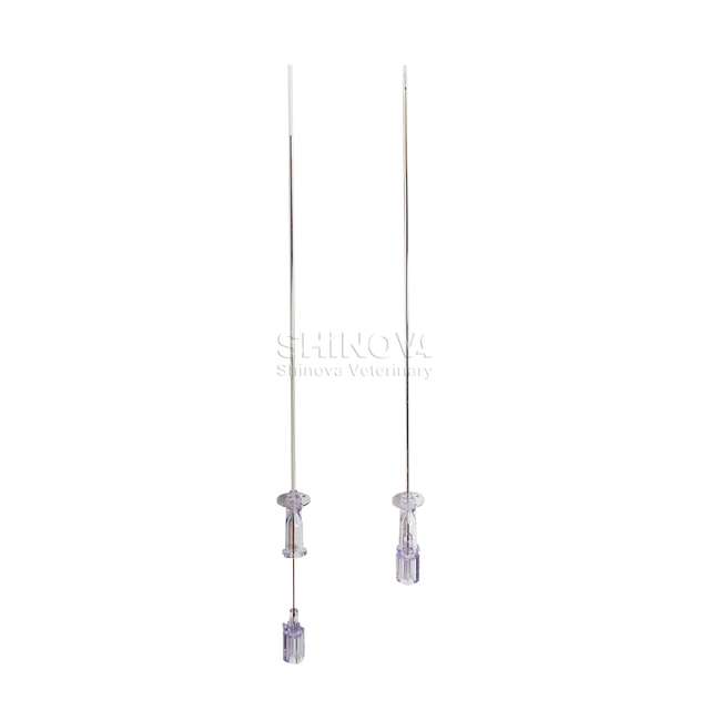 Cat Catheter