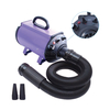 Single-Motor Pet Blower