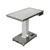 Multi-functional Electric Lifting Table With Scale