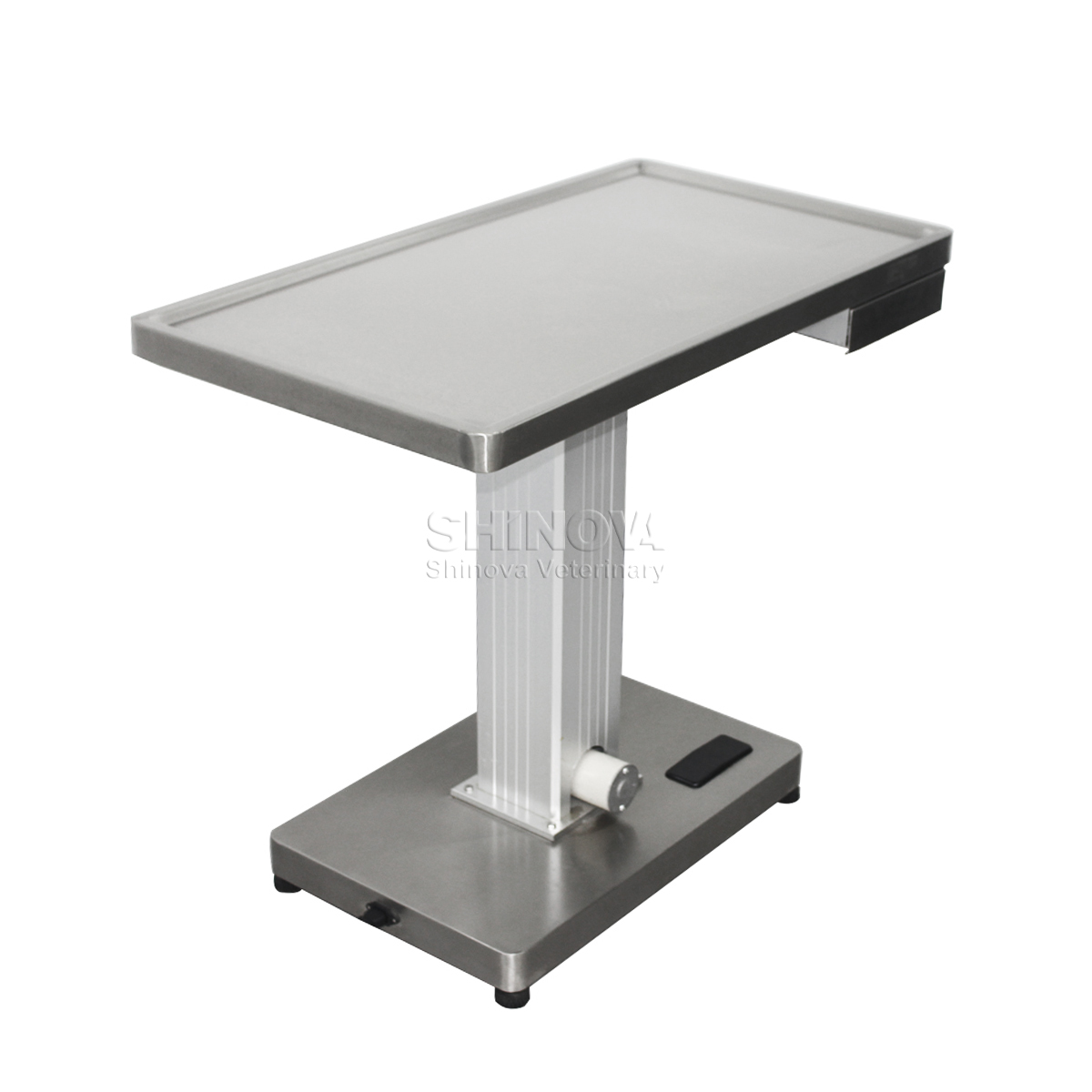 Multi-functional Electric Lifting Table With Scale