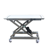 Stainless Steel Carbon Transfer Vehicle