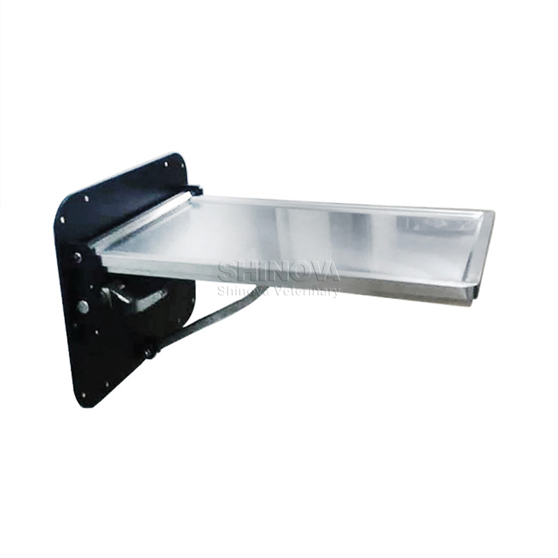 Stainless Steel Wall-mounted Foldable Exam Table