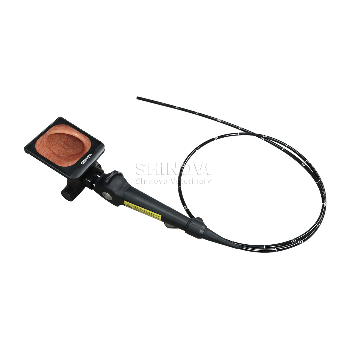 Handheld High-definition Video Endoscope for Equine Bronchoscopy