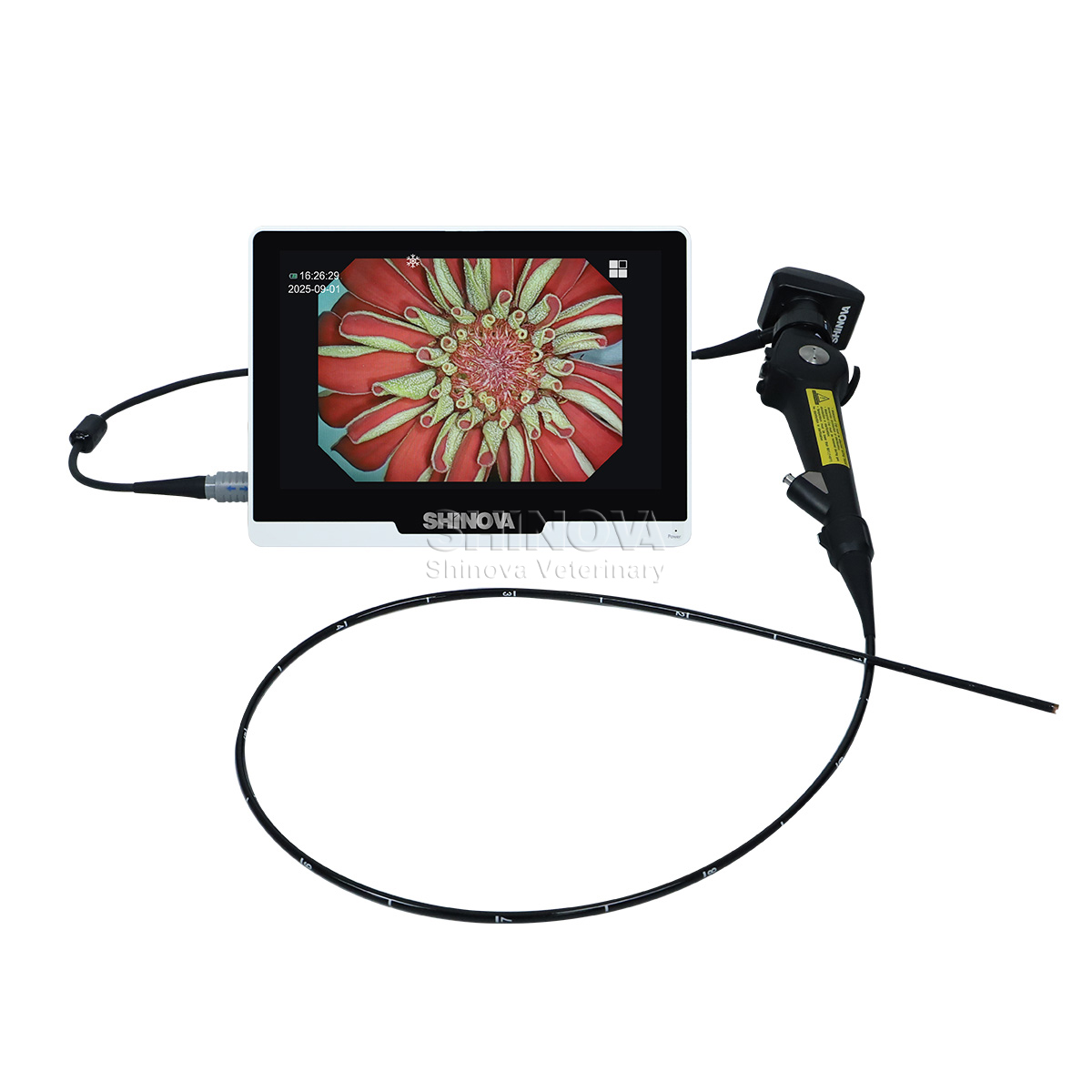 Portable Veterinary Endoscope（4.8mm）