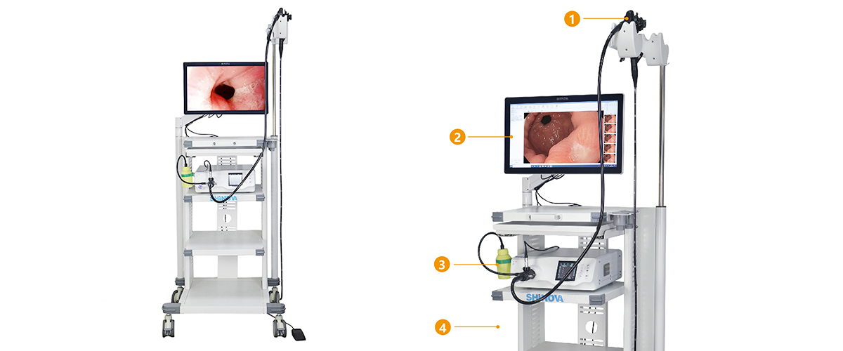 Veterinary Video Gastroscope 