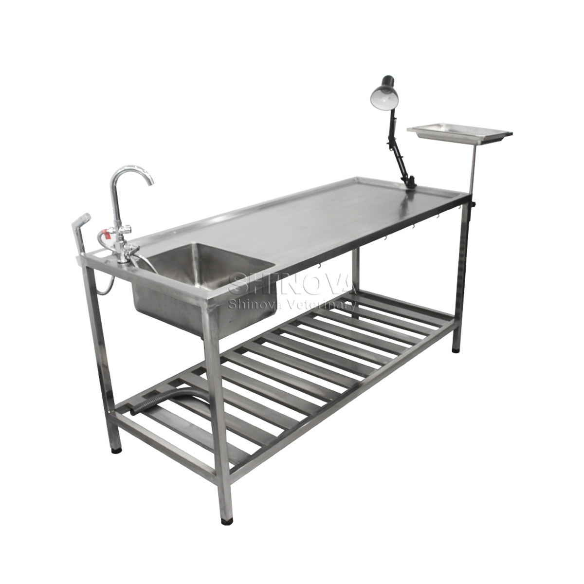 Stainless Steel Animal Dissection Table