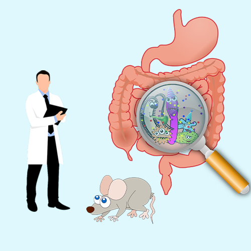 The Key Role of Mice Colonoscope in Experimental Animal Research: Advancing Drug Evaluation And Scientific Innovation
