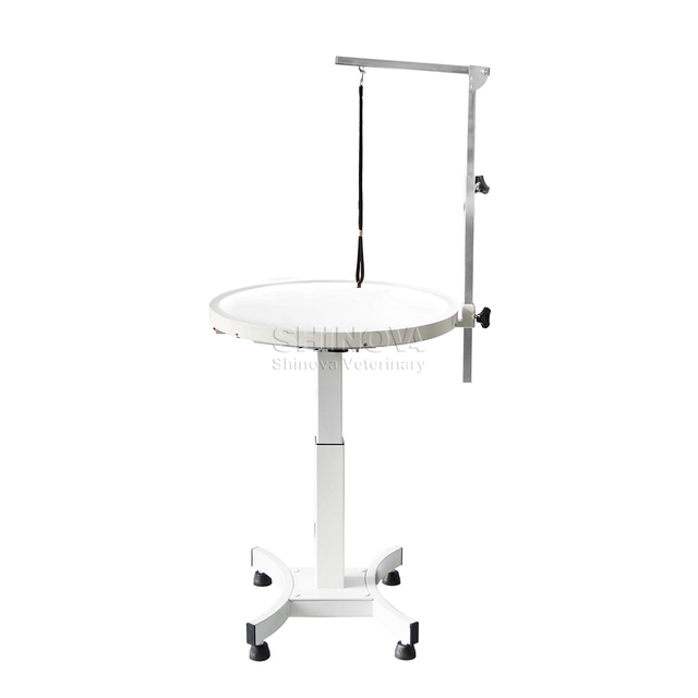 Luminous Electric-Lifting Grooming Table
