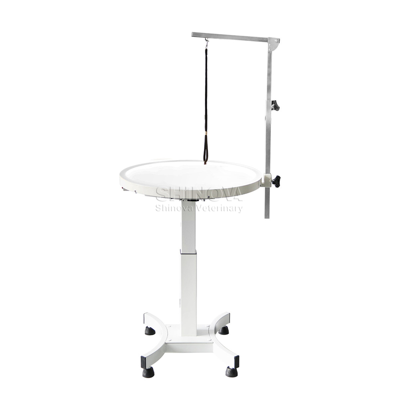 Luminous Electric-Lifting Grooming Table