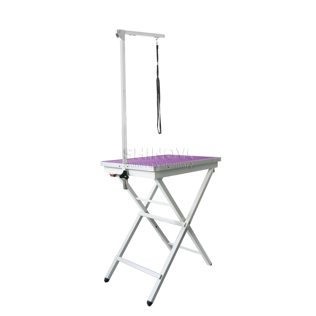 Portable Foldable Grooming Table