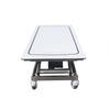 Stainless Steel Carbon Transfer Vehicle