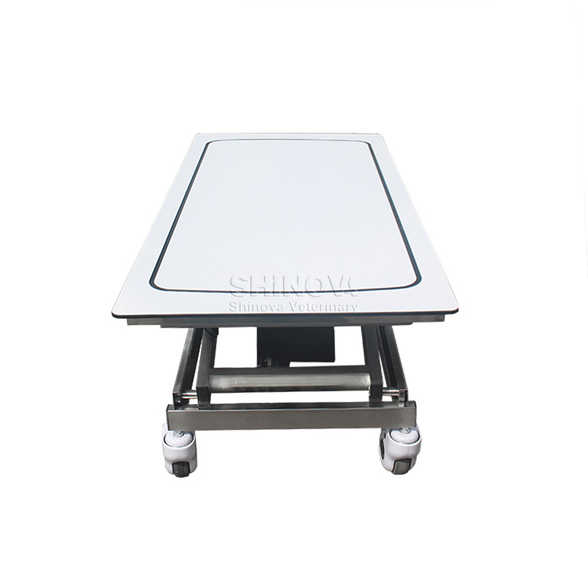 Stainless Steel Carbon Transfer Vehicle