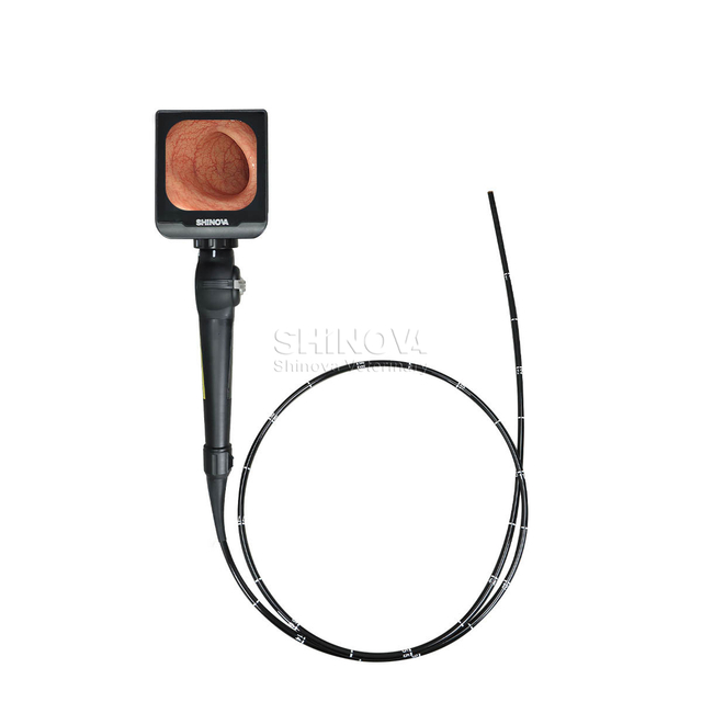 Handheld High-definition Video Endoscope for Equine Bronchoscopy