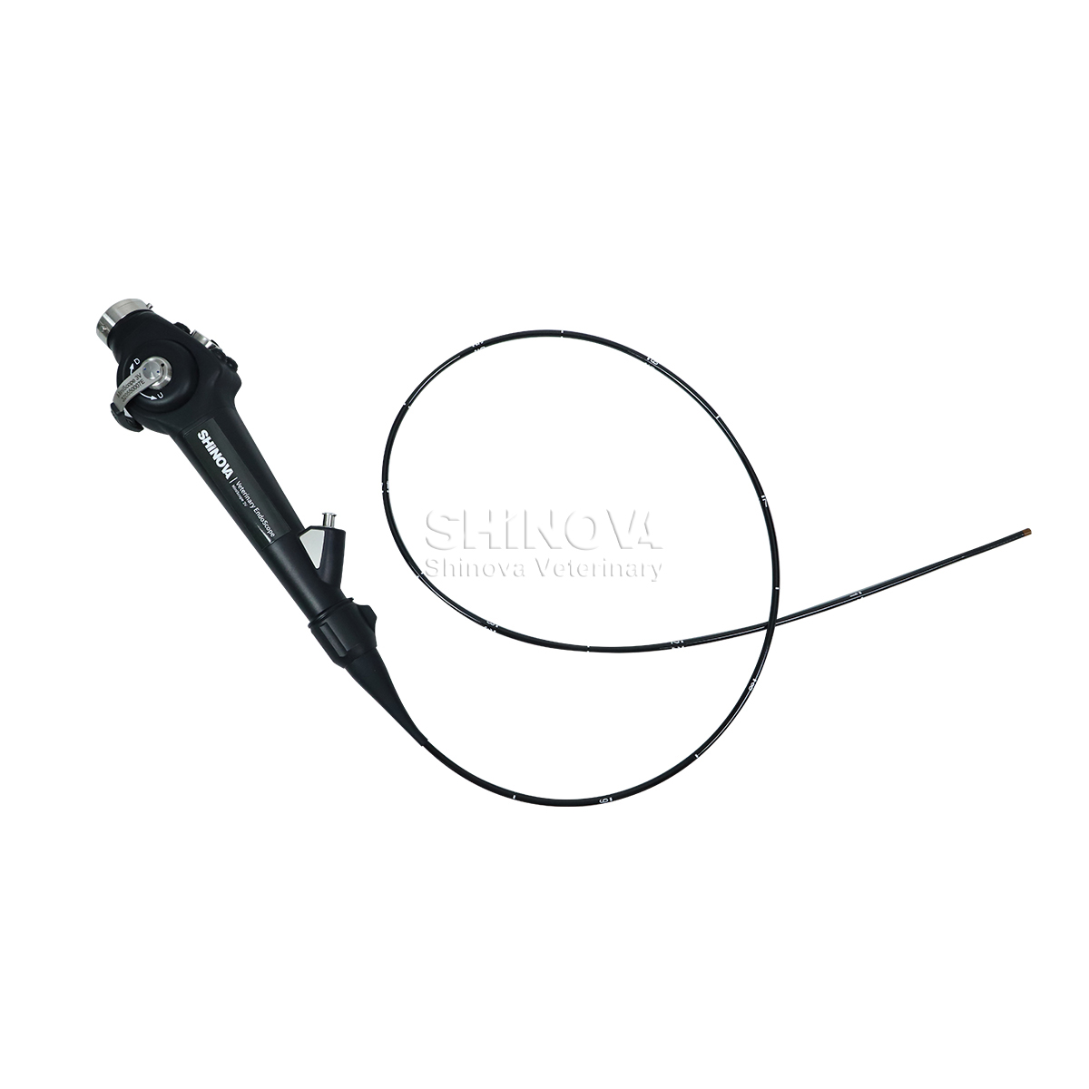 Veterinary Bronchoscope（3.8mm）