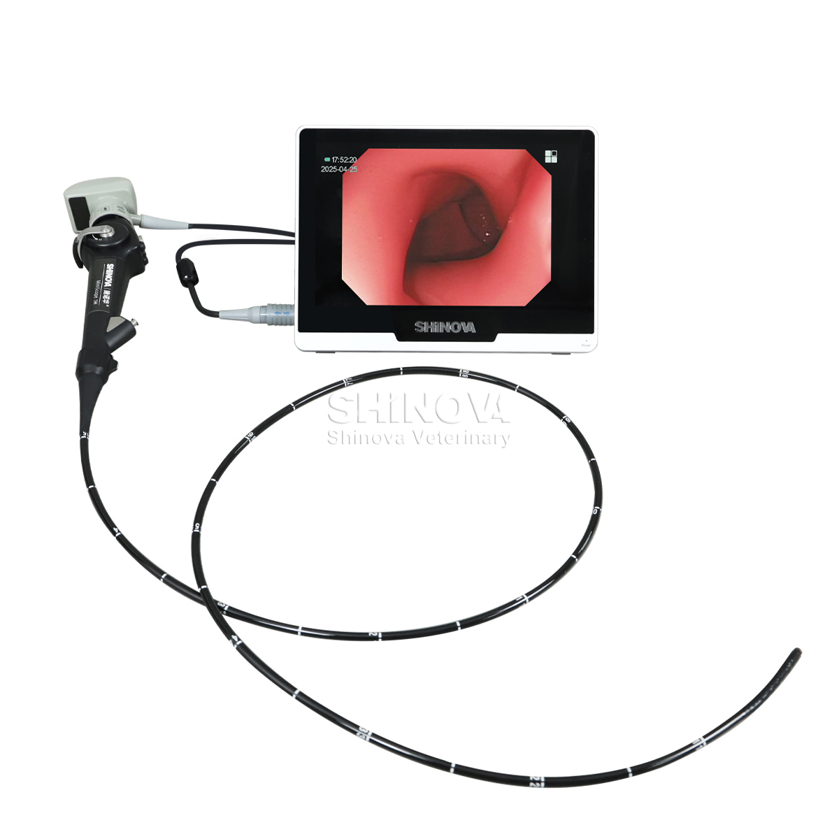 Portable Veterinary Endoscope(5.8mm)