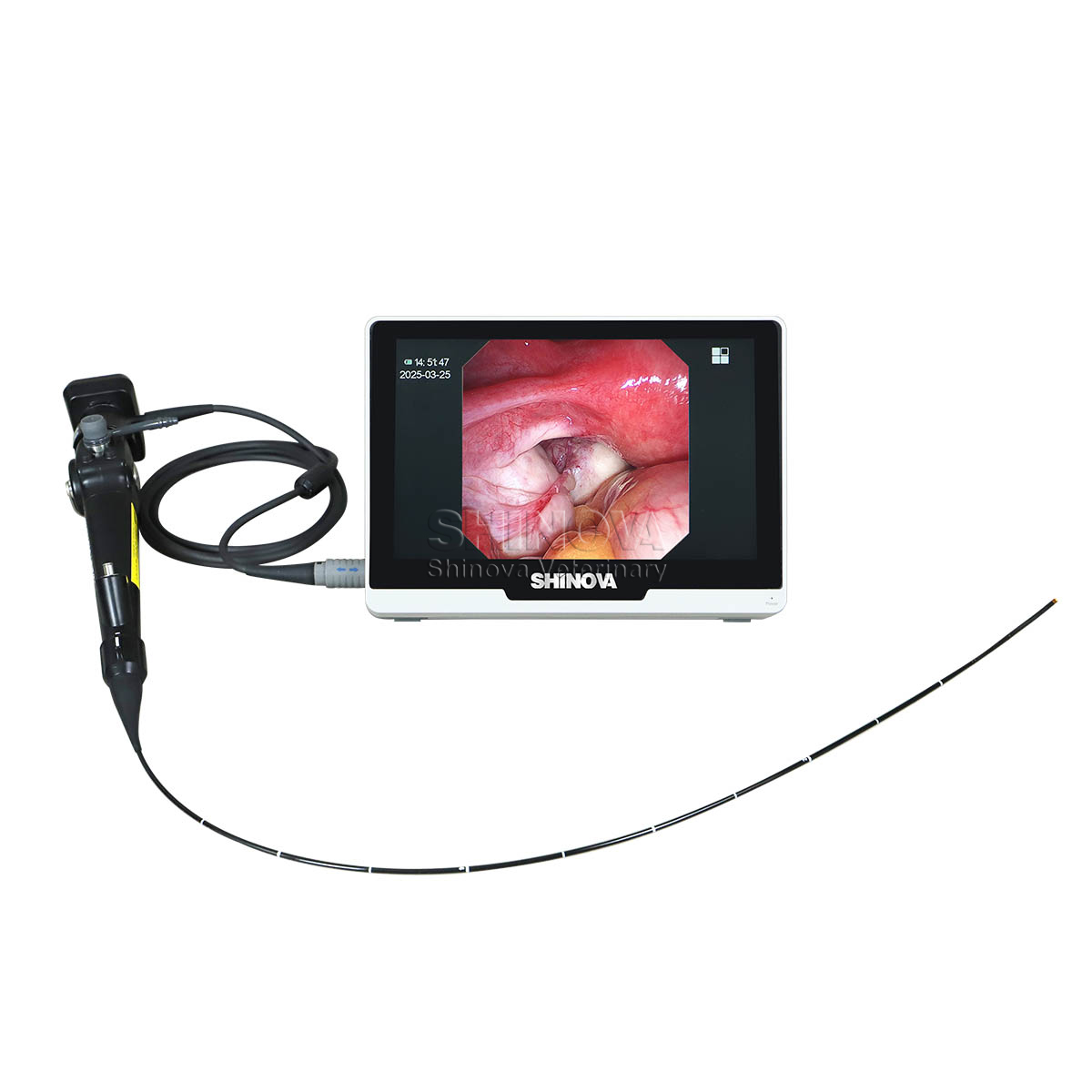 MiniScope 2V (1)