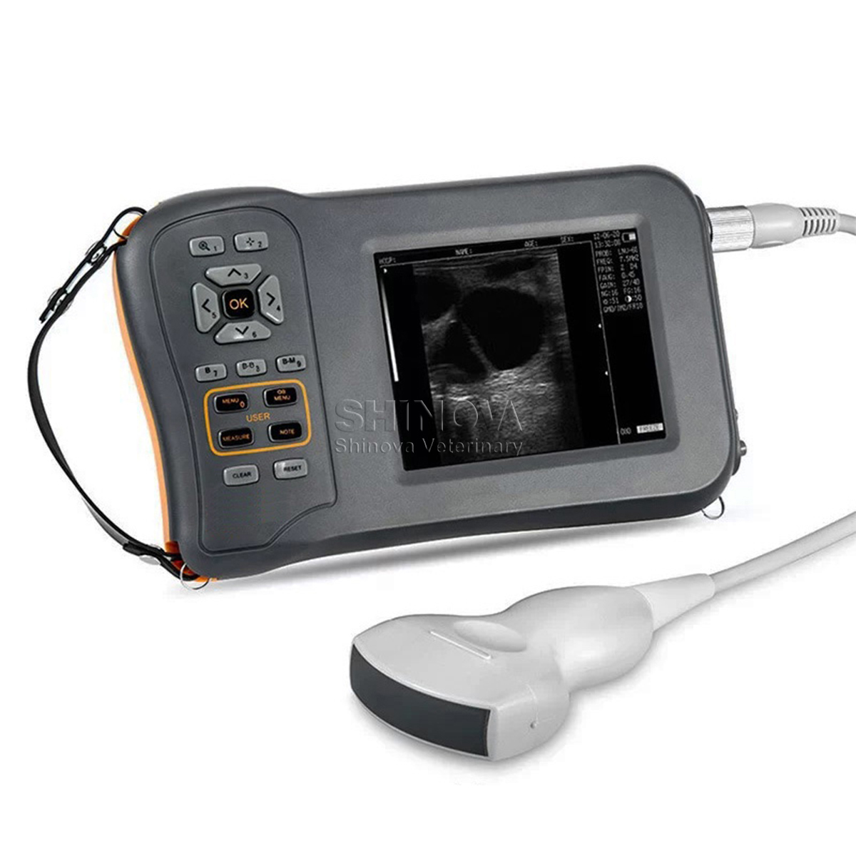 Handheld Veterinary Ultrasound with 5.8 inch WVGA LCD monitor