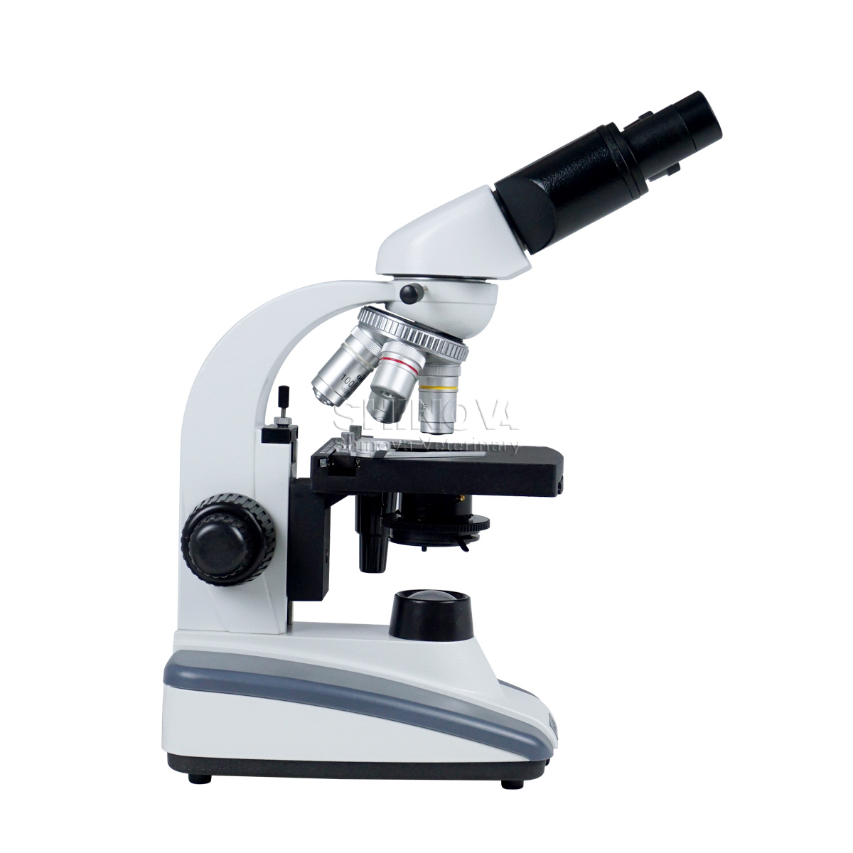 Biological Microscope