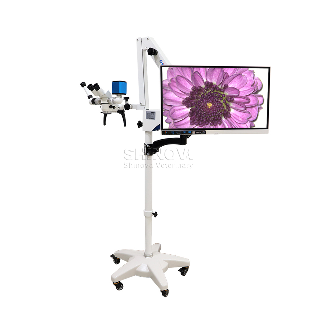 Veterinary Operating Microscope 