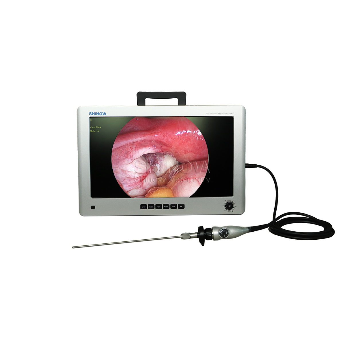 Veterinary Laparoscope Tower