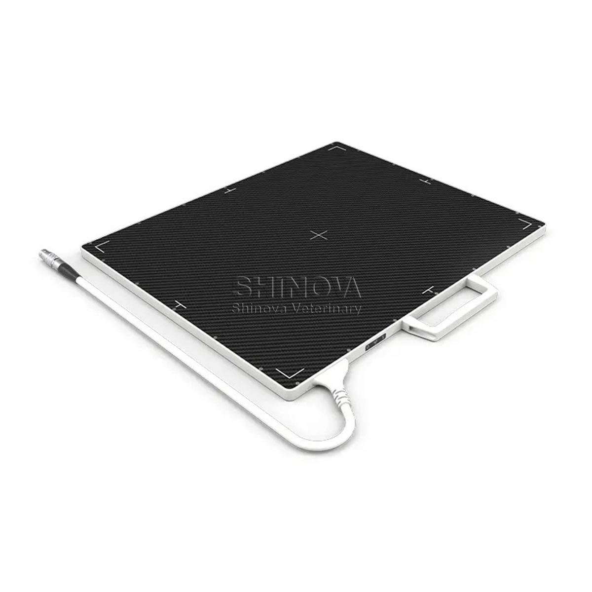X-Ray Flat Panel Detector