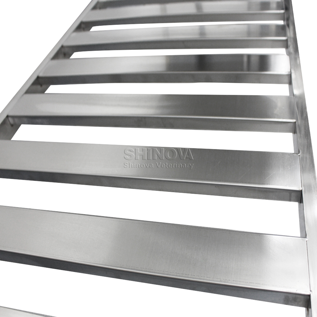 Stainless Steel Animal Dissection Table