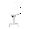 Luminous Electric-Lifting Grooming Table