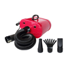 Double-Motor Pet Blower