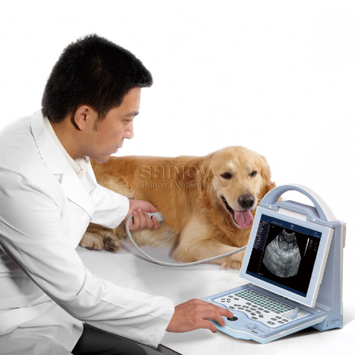 Portable Veterinary Ultrasound with 10.4