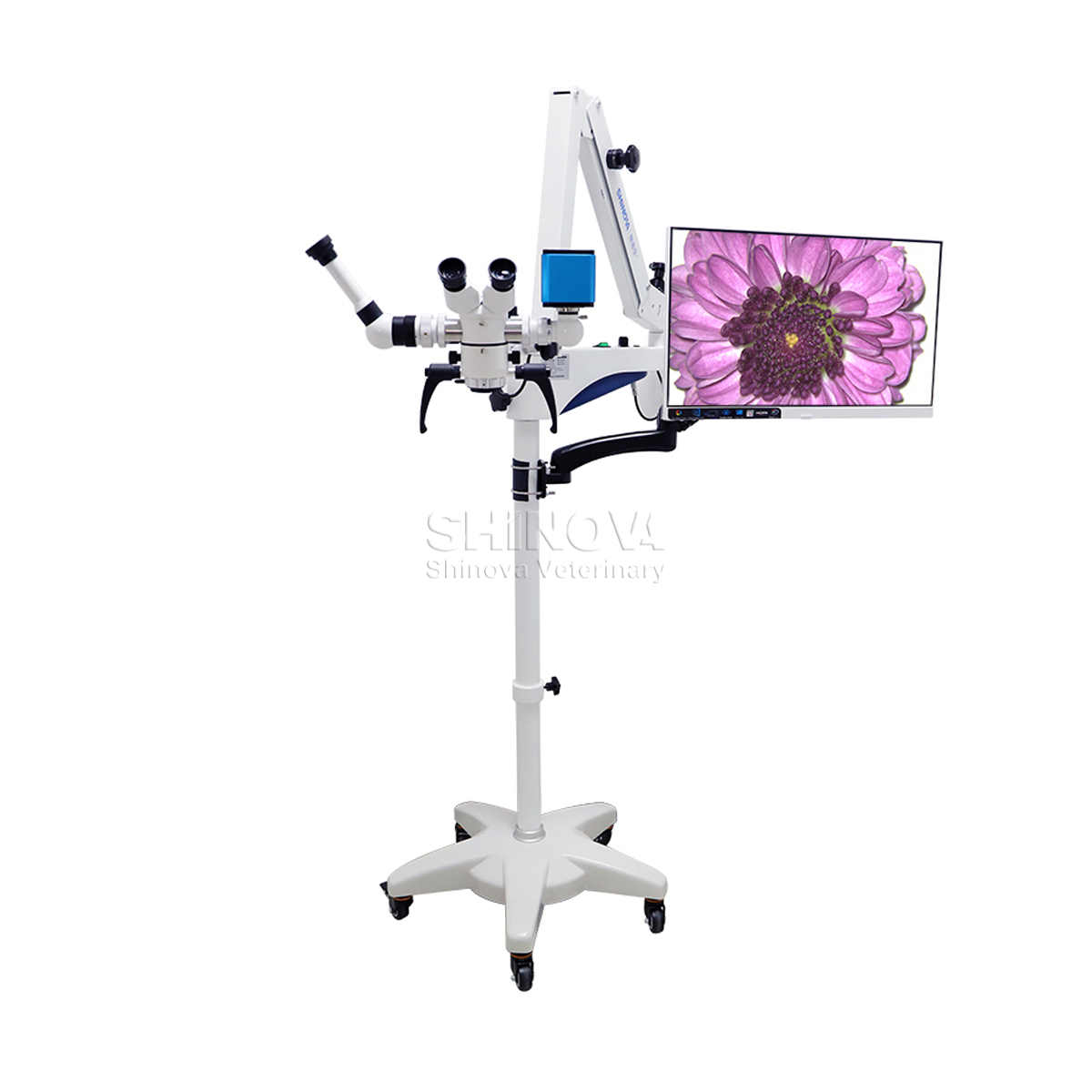 Veterinary Operating Microscope 