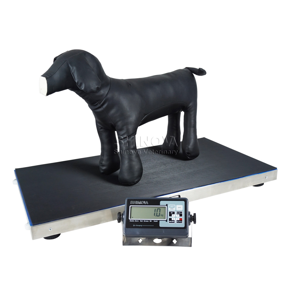 Accurate veterinary scale for large pets