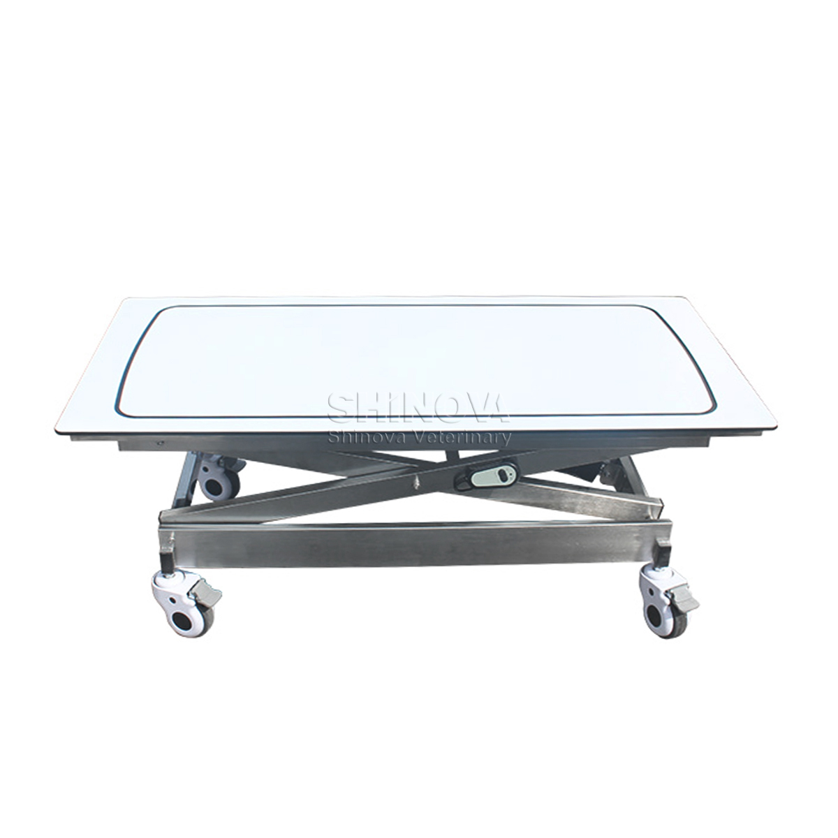 Stainless Steel Carbon Transfer Vehicle