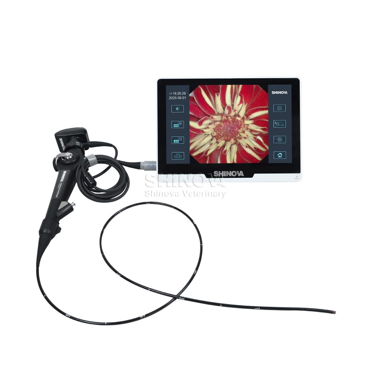 Veterinary Bronchoscope（3.8mm）