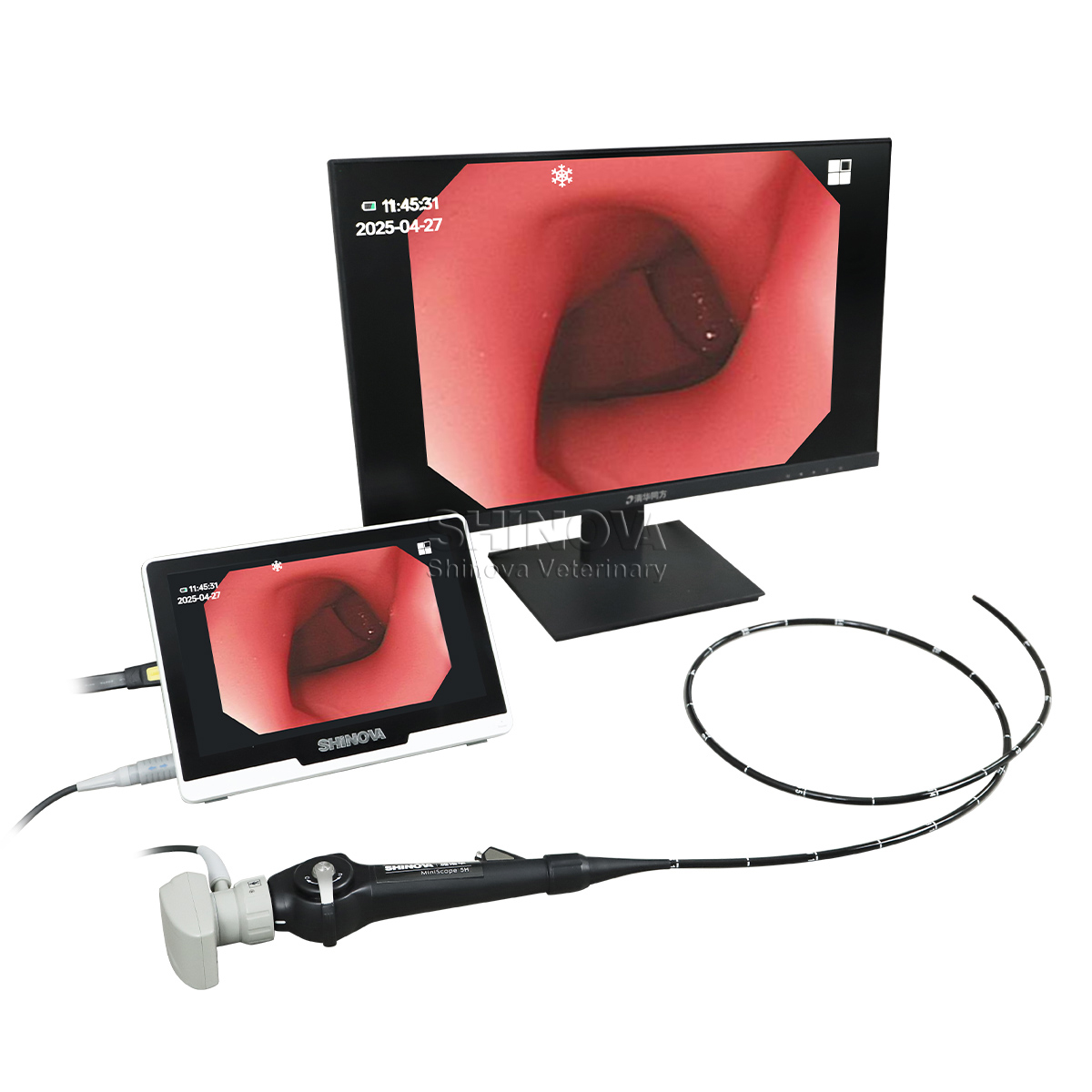 Portable Veterinary Endoscope(5.8mm)