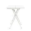 Professional Foldable-Grooming Table