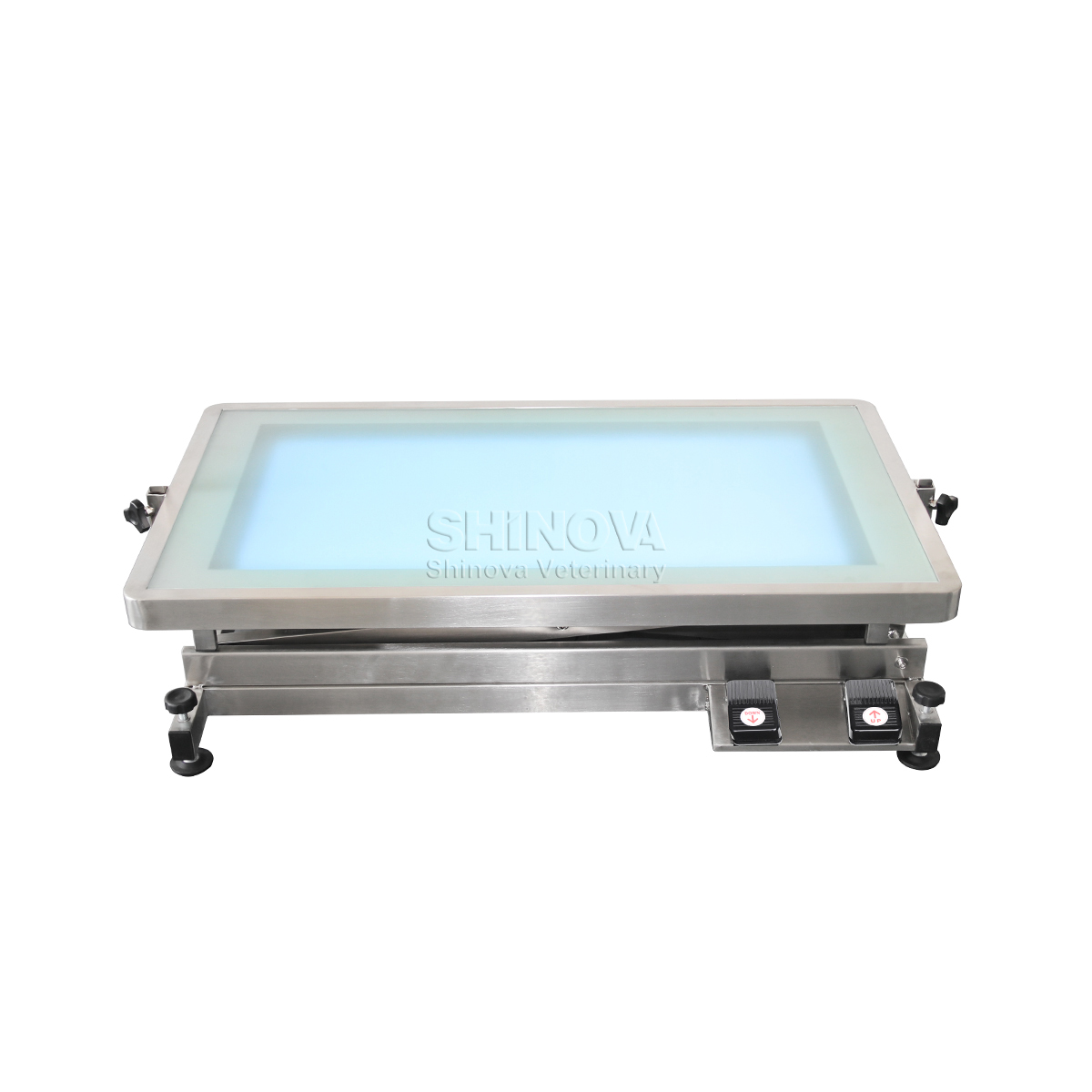 Electric-Lifting Grooming Table