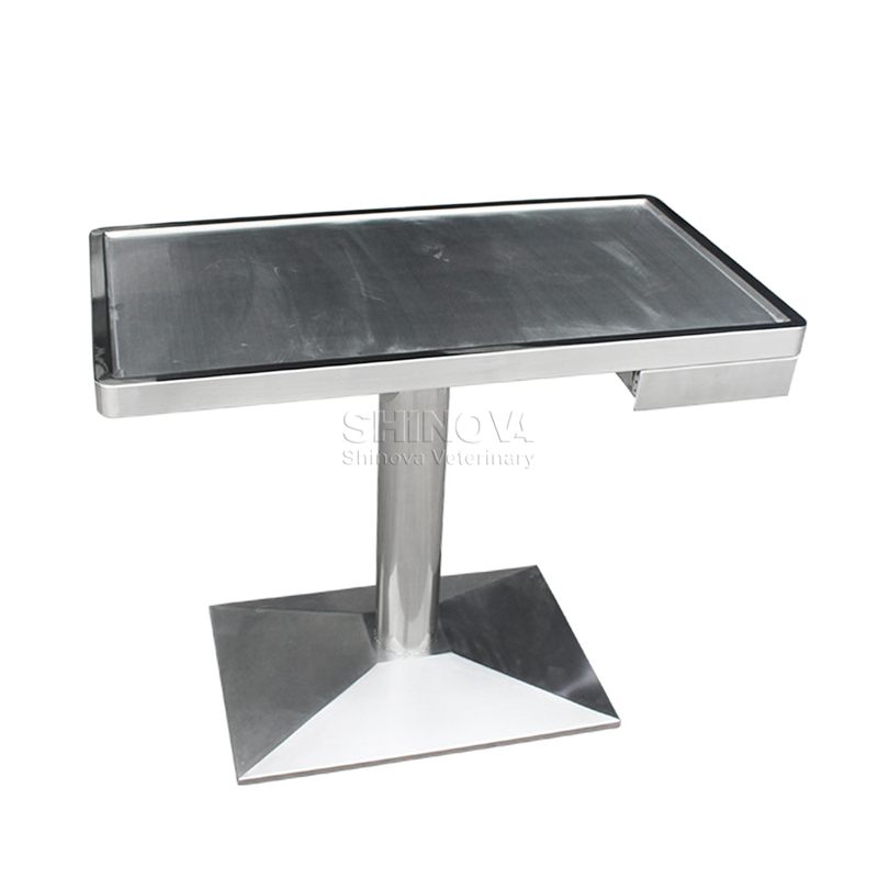 Multi-functional Electric Lifting Table With Scale