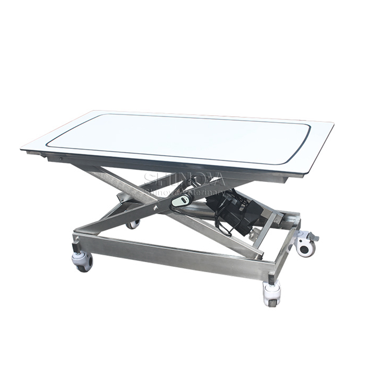 Stainless Steel Carbon Transfer Vehicle