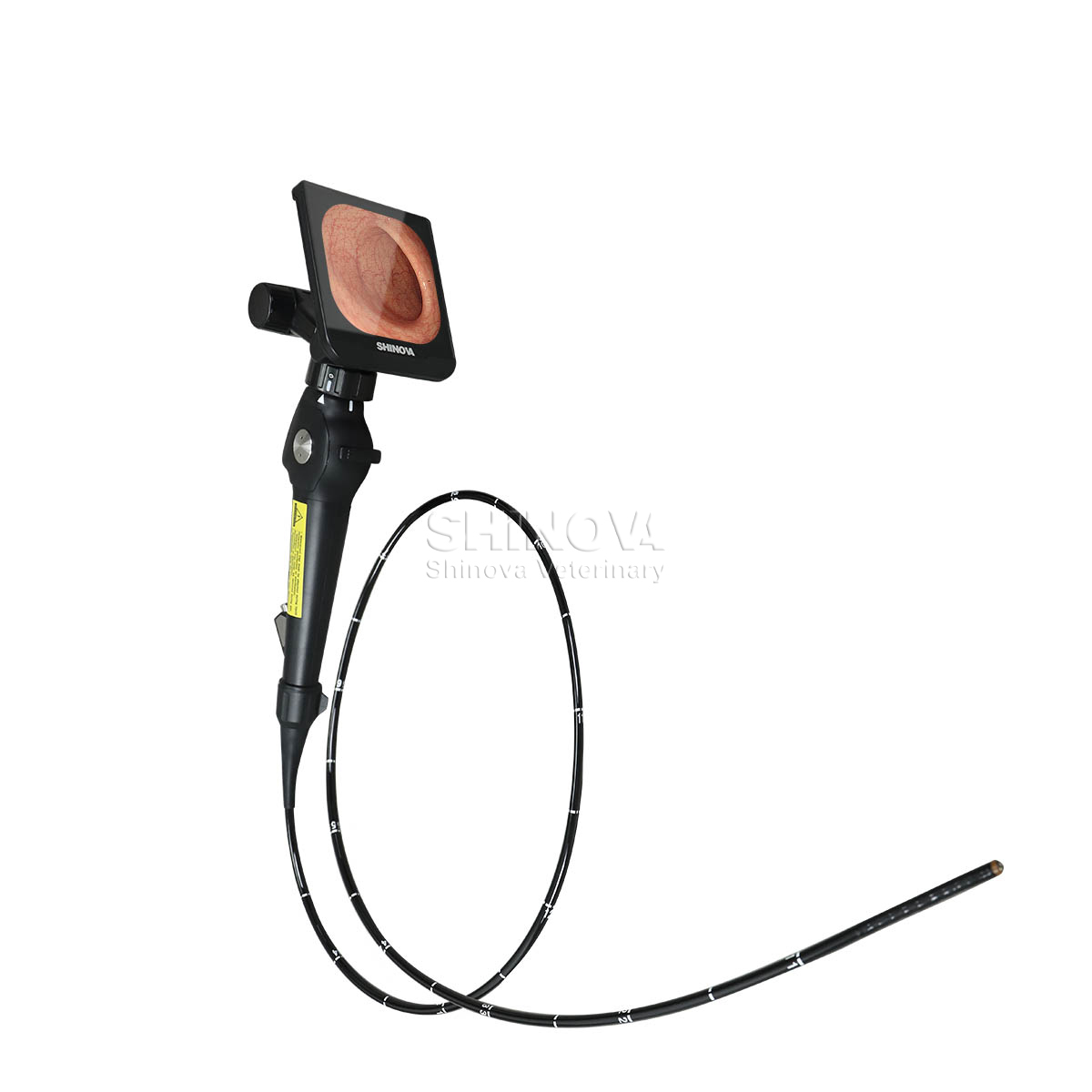 Handheld High-definition Video Endoscope for Equine Bronchoscopy