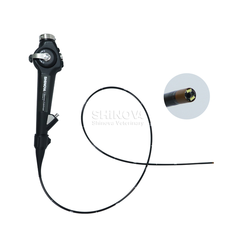 Veterinary Bronchoscope（3.8mm）